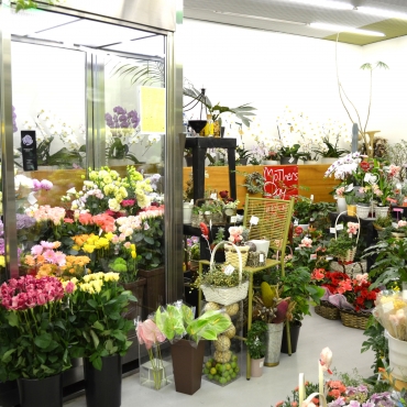 「フラワーハウス　いそむら」　（山口県宇部市）の花屋店舗写真2
